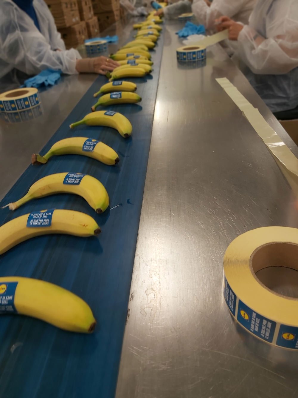verpakken bananen